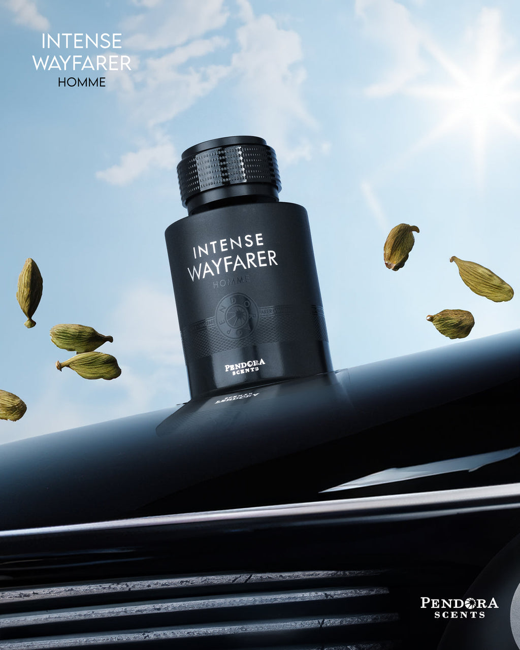PARIS CORNER NTENSE WAYFARER